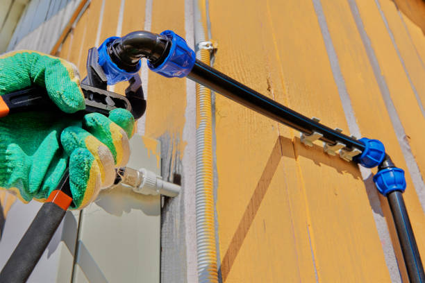 Best Sewer Line Repair  in Lazy Mountain, AK